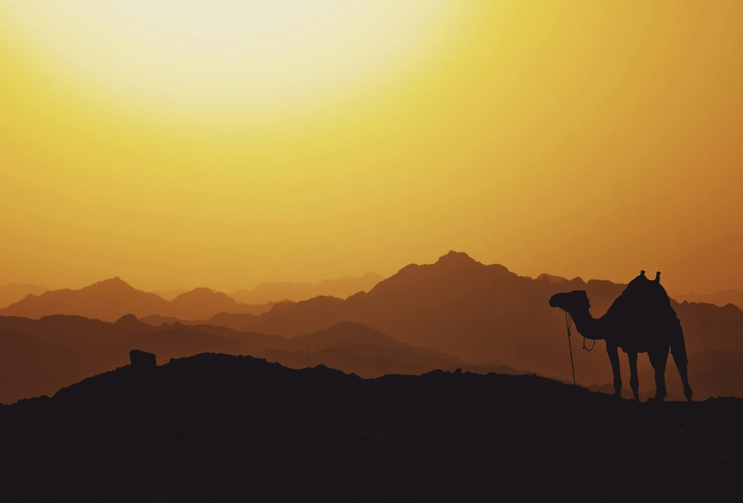 Book your Egypt adventure background